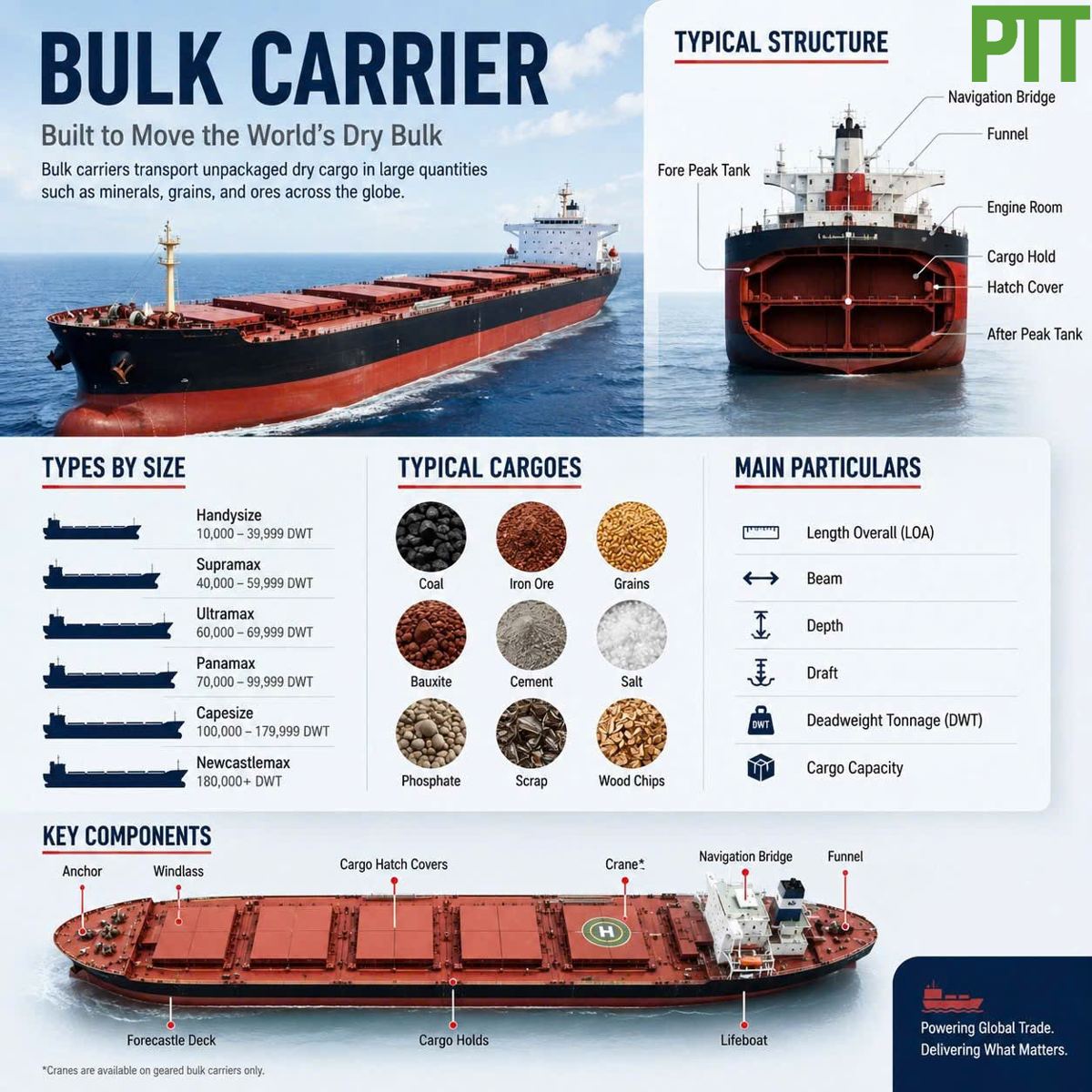 BULK CARRIER: The Backbone of Global Dry Bulk Shipping